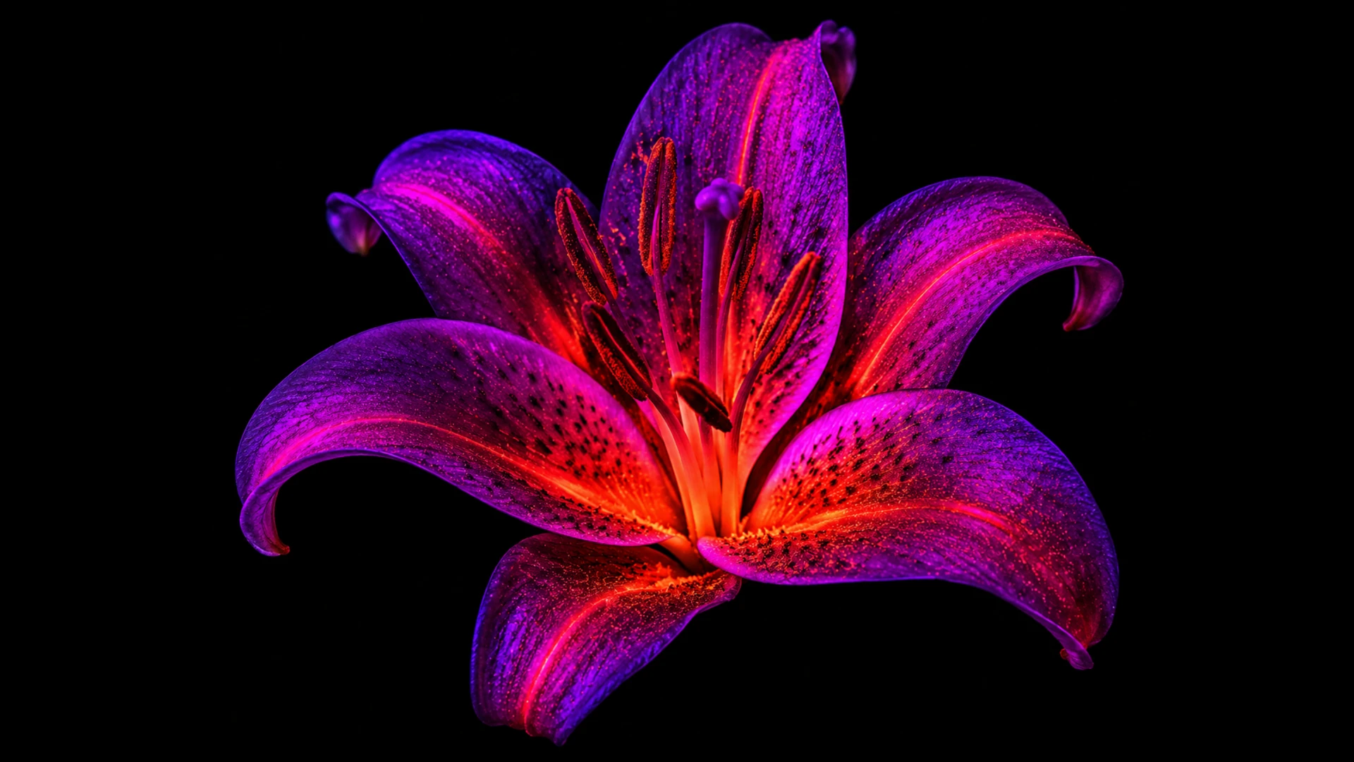 Macro botanical still life lit in the KULT red-to-pink gradient